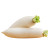 White Radish - 1PCs