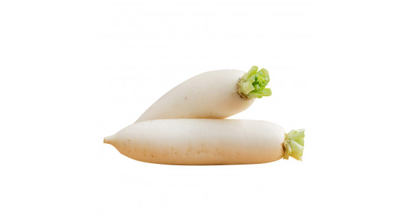 White Radish