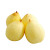 Ya Pears --4CH