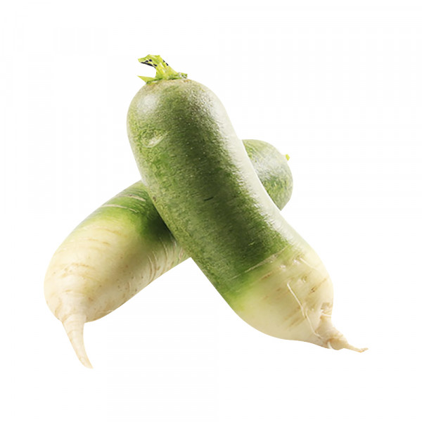 Green Radish/Lobok - 2PCs