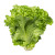 Green Leaf Lettuce - 1 PC